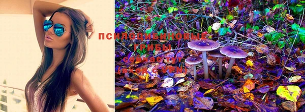 мескалин Алексин