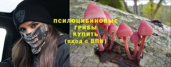 мескалин Алексин