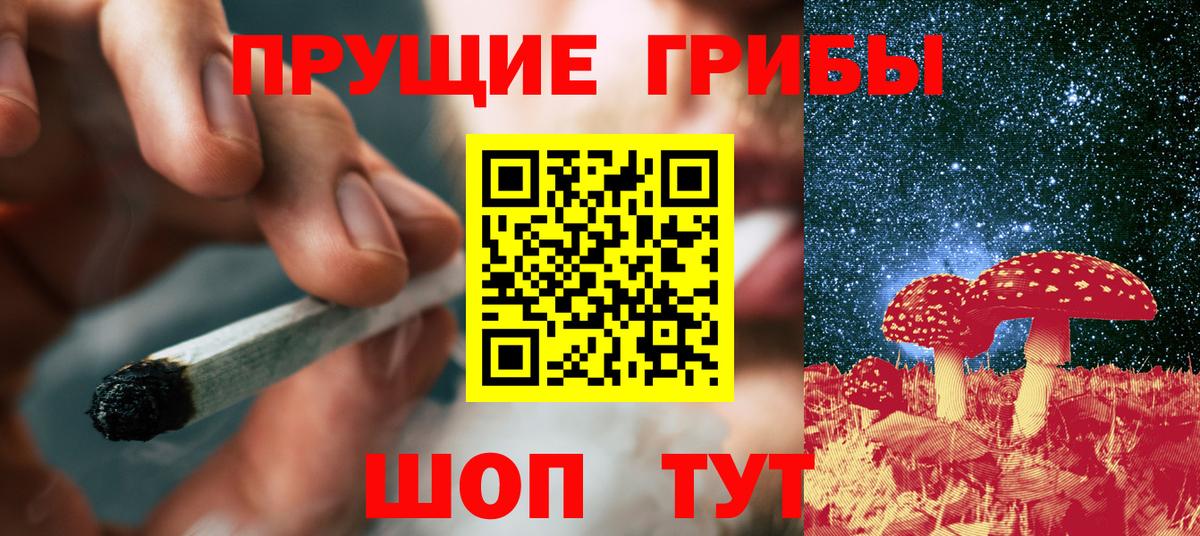 Галлюциногенные грибы прущие грибы Сургут